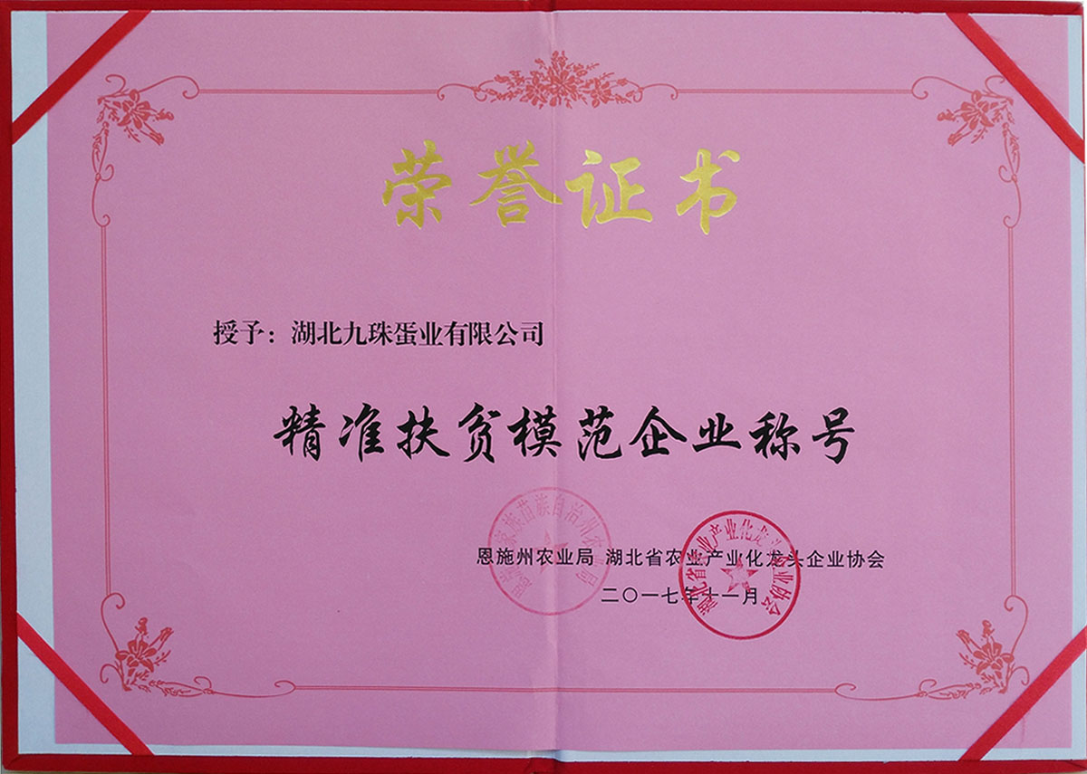2017年精准扶贫模范企业