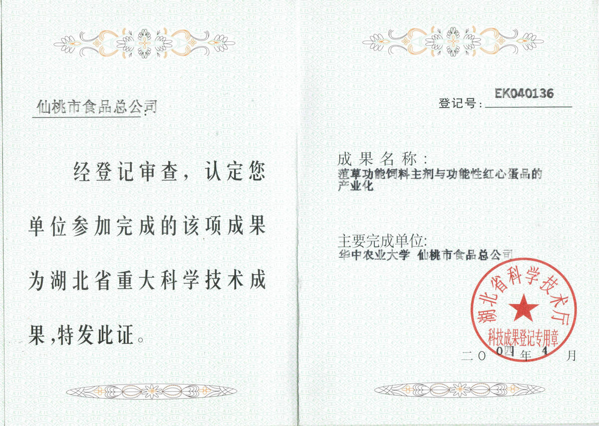 2004年成果证